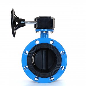 法蘭式蝸輪蝸桿蝶閥DN125，1.6Mpa橡膠密封